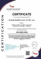 ISO 45001 (EN)